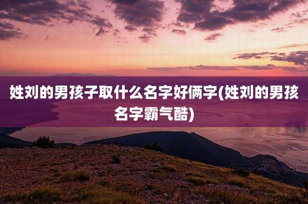姓刘的男孩子取什么名字好俩字(姓刘的男孩名字霸气酷)