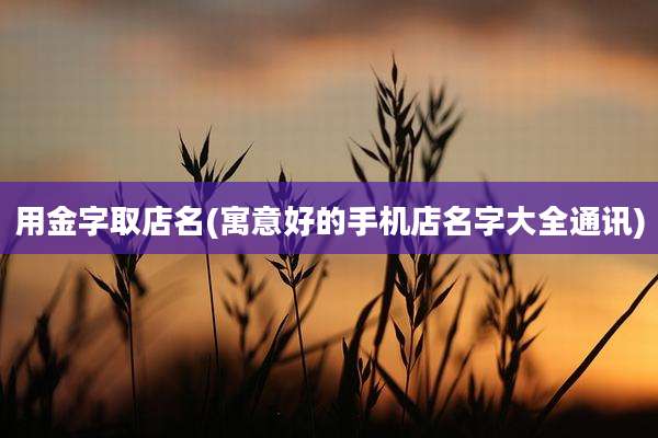 用金字取店名(寓意好的手机店名字大全通讯)
