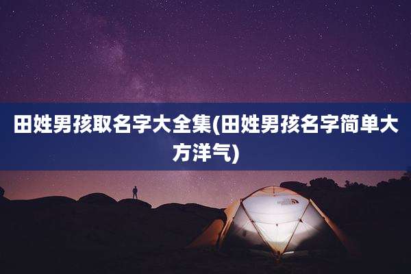 田姓男孩取名字大全集(田姓男孩名字简单大方洋气)