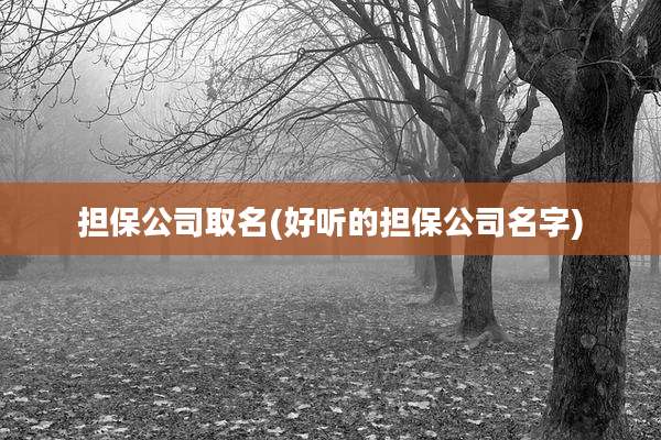 担保公司取名(好听的担保公司名字)