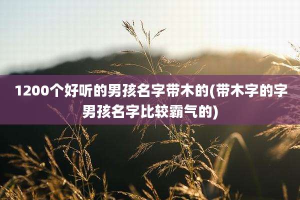 1200个好听的男孩名字带木的(带木字的字男孩名字比较霸气的)