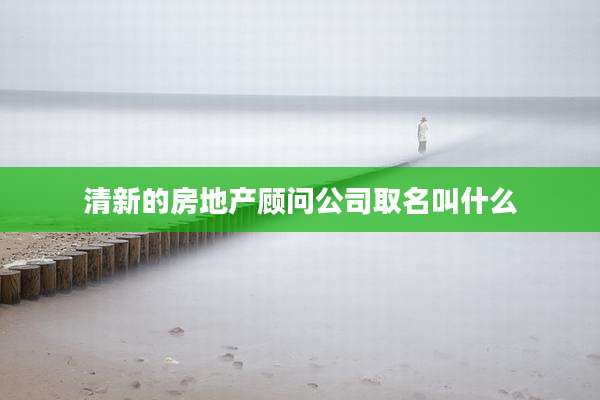清新的房地产顾问公司取名叫什么