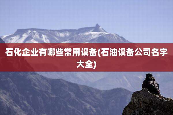 石化企业有哪些常用设备(石油设备公司名字大全)