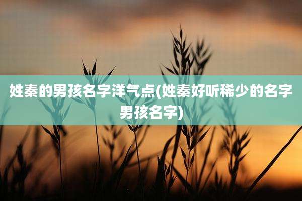 姓秦的男孩名字洋气点(姓秦好听稀少的名字男孩名字)