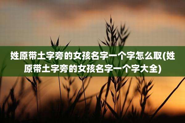 姓原带土字旁的女孩名字一个字怎么取(姓原带土字旁的女孩名字一个字大全)