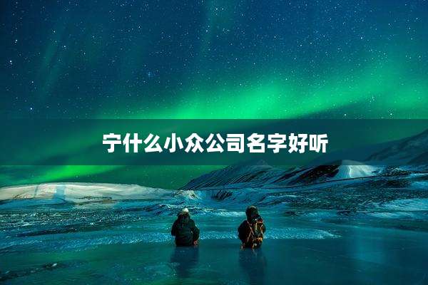 宁什么小众公司名字好听