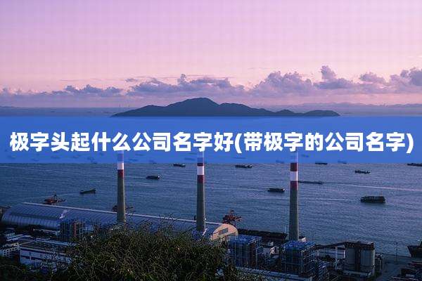 极字头起什么公司名字好(带极字的公司名字)