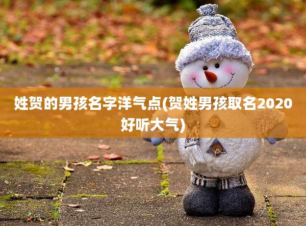 姓贺的男孩名字洋气点(贺姓男孩取名2020好听大气)