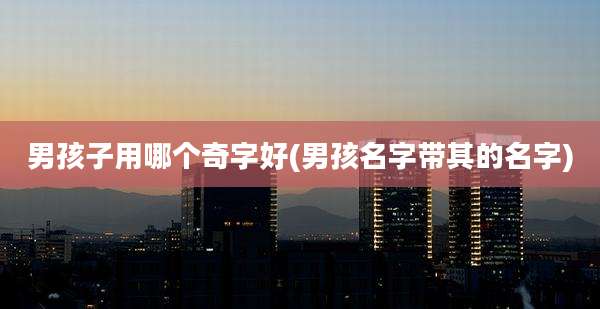 男孩子用哪个奇字好(男孩名字带其的名字)