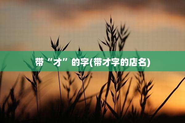 带“才”的字(带才字的店名)
