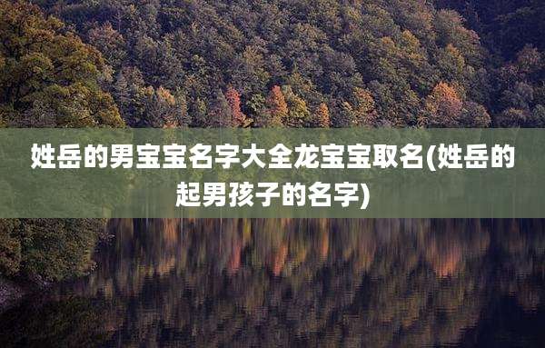 姓岳的男宝宝名字大全龙宝宝取名(姓岳的起男孩子的名字)