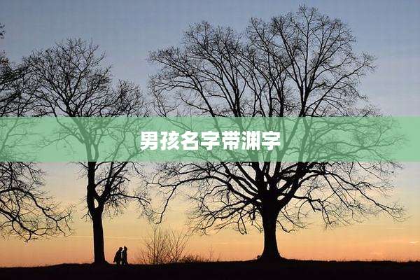 男孩名字带渊字