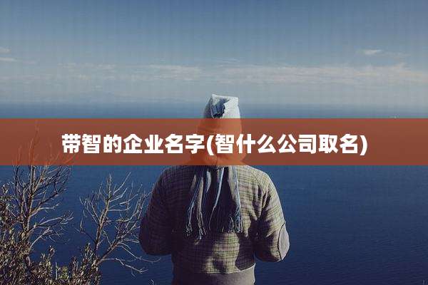 带智的企业名字(智什么公司取名)