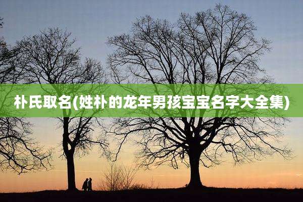 朴氏取名(姓朴的龙年男孩宝宝名字大全集)