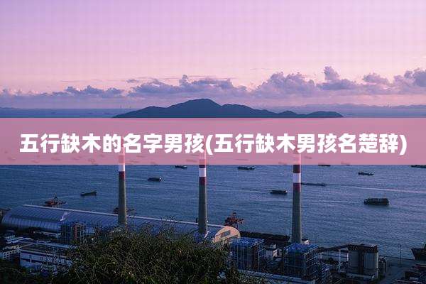 五行缺木的名字男孩(五行缺木男孩名楚辞)