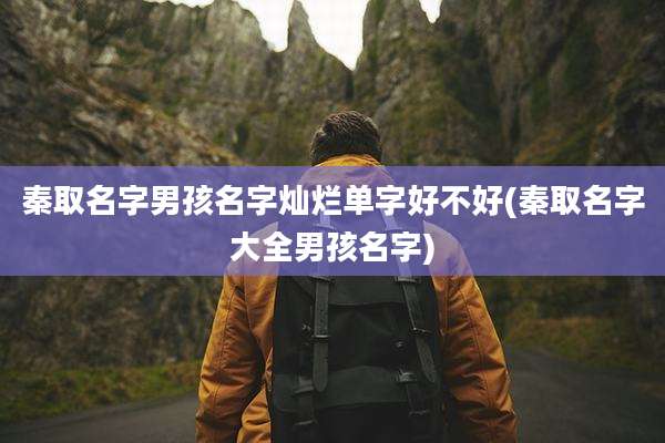 秦取名字男孩名字灿烂单字好不好(秦取名字大全男孩名字)