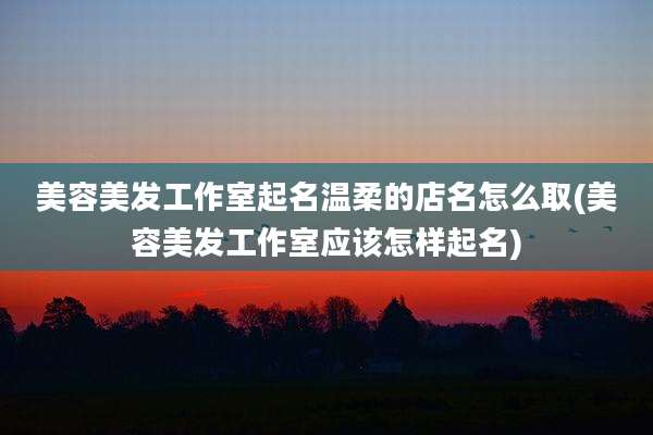 美容美发工作室起名温柔的店名怎么取(美容美发工作室应该怎样起名)