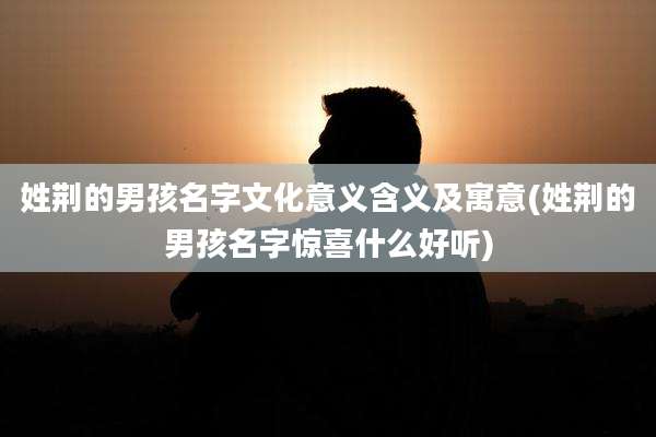 姓荆的男孩名字文化意义含义及寓意(姓荆的男孩名字惊喜什么好听)