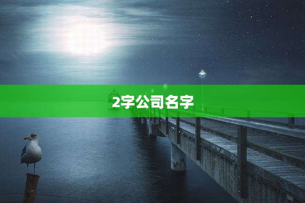 2字公司名字