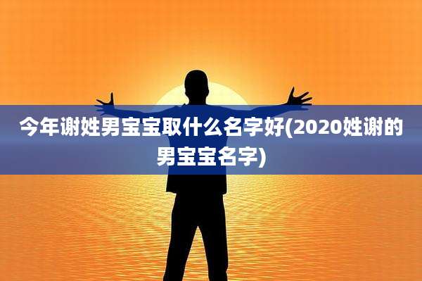 今年谢姓男宝宝取什么名字好(2020姓谢的男宝宝名字)