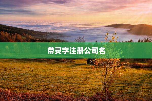 带灵字注册公司名