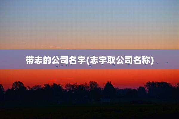带志的公司名字(志字取公司名称)