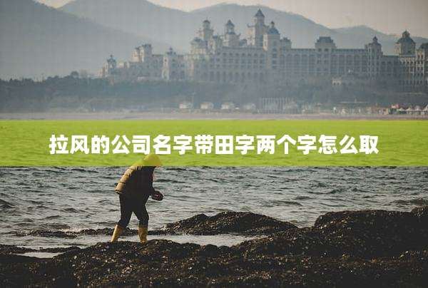 拉风的公司名字带田字两个字怎么取