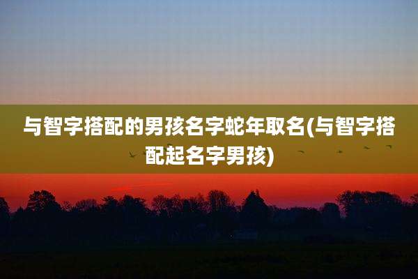 与智字搭配的男孩名字蛇年取名(与智字搭配起名字男孩)