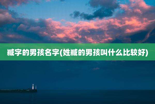 臧字的男孩名字(姓臧的男孩叫什么比较好)