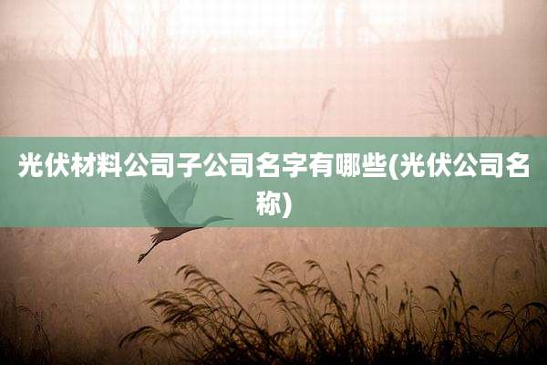 光伏材料公司子公司名字有哪些(光伏公司名称)