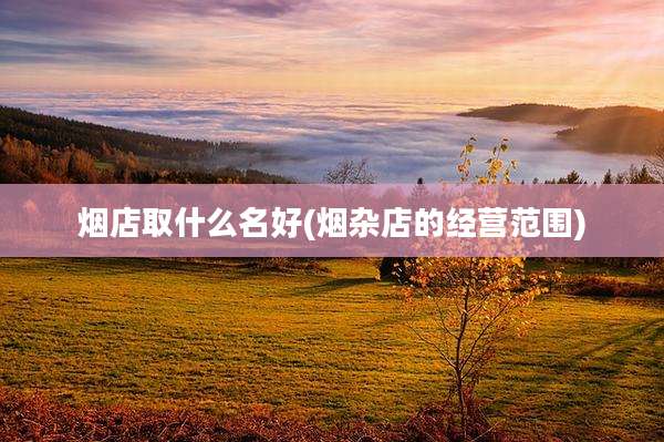 烟店取什么名好(烟杂店的经营范围)