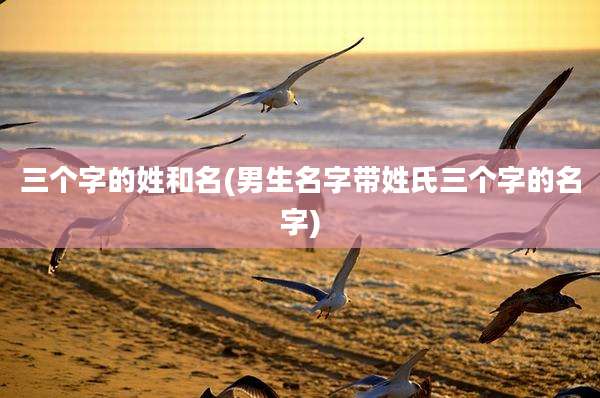 三个字的姓和名(男生名字带姓氏三个字的名字)
