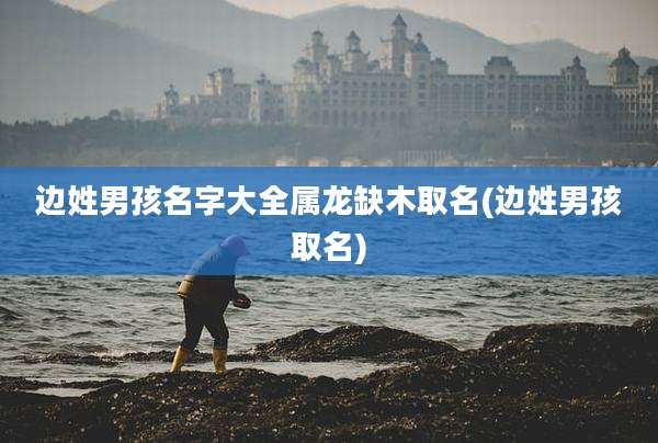 边姓男孩名字大全属龙缺木取名(边姓男孩取名)