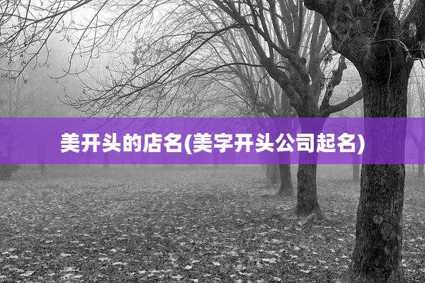 美开头的店名(美字开头公司起名)