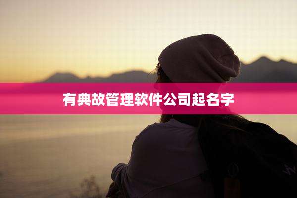 有典故管理软件公司起名字