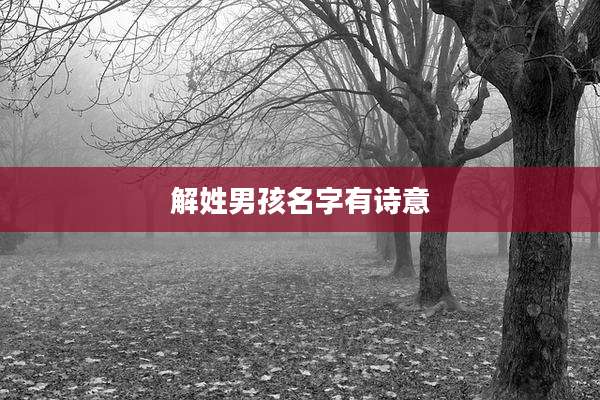 解姓男孩名字有诗意