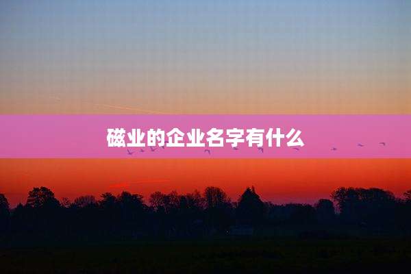 磁业的企业名字有什么