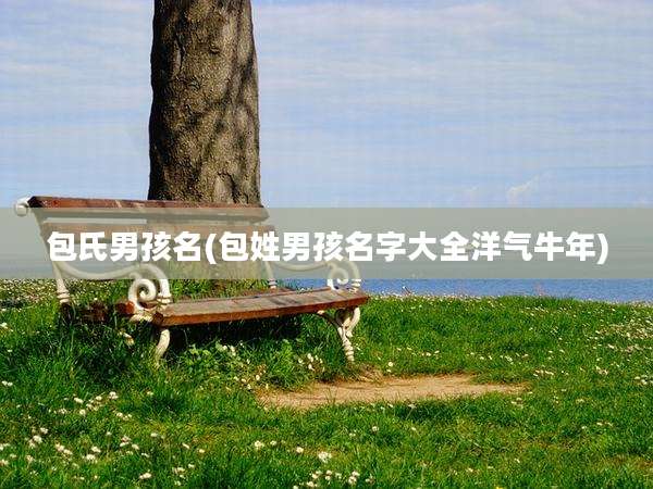 包氏男孩名(包姓男孩名字大全洋气牛年)