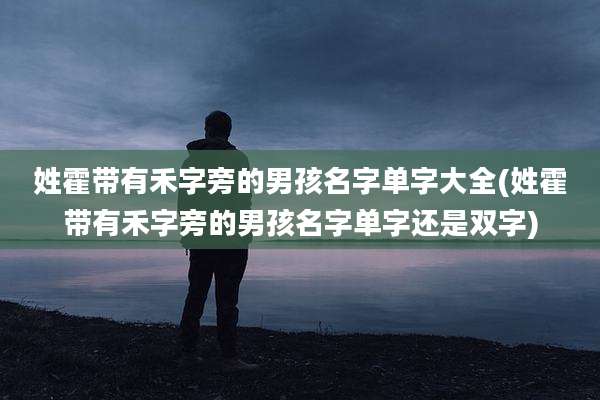 姓霍带有禾字旁的男孩名字单字大全(姓霍带有禾字旁的男孩名字单字还是双字)