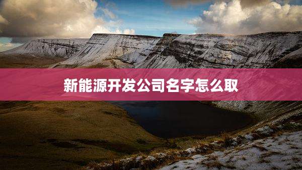新能源开发公司名字怎么取