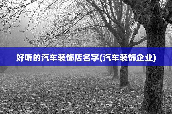好听的汽车装饰店名字(汽车装饰企业)