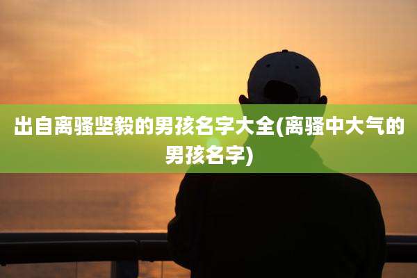 出自离骚坚毅的男孩名字大全(离骚中大气的男孩名字)