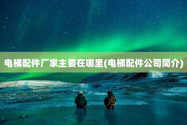 电梯配件厂家主要在哪里(电梯配件公司简介)