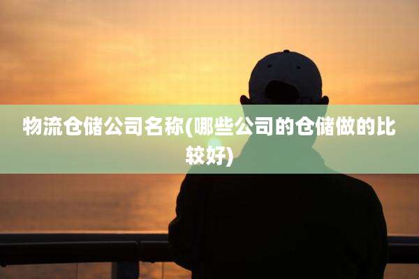 物流仓储公司名称(哪些公司的仓储做的比较好)
