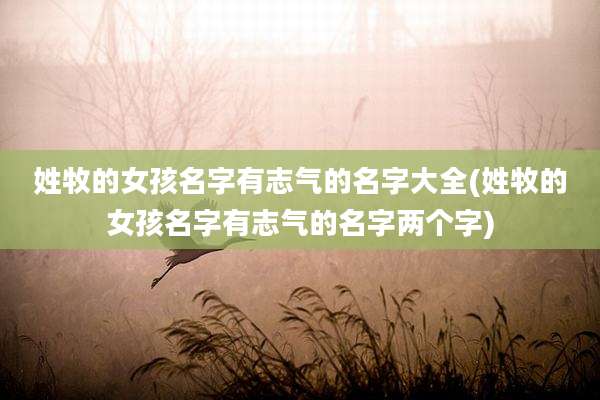 姓牧的女孩名字有志气的名字大全(姓牧的女孩名字有志气的名字两个字)