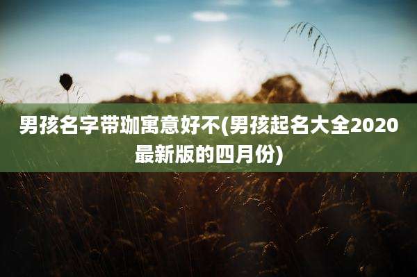 男孩名字带珈寓意好不(男孩起名大全2020最新版的四月份)