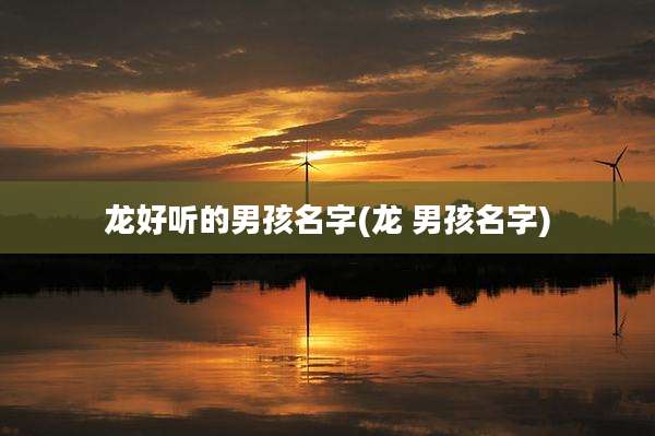 龙好听的男孩名字(龙 男孩名字)
