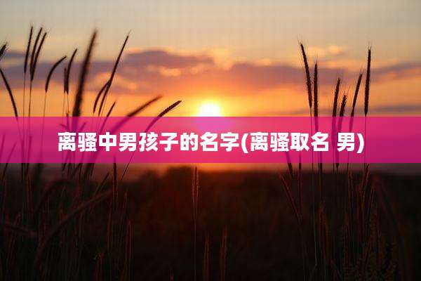 离骚中男孩子的名字(离骚取名 男)