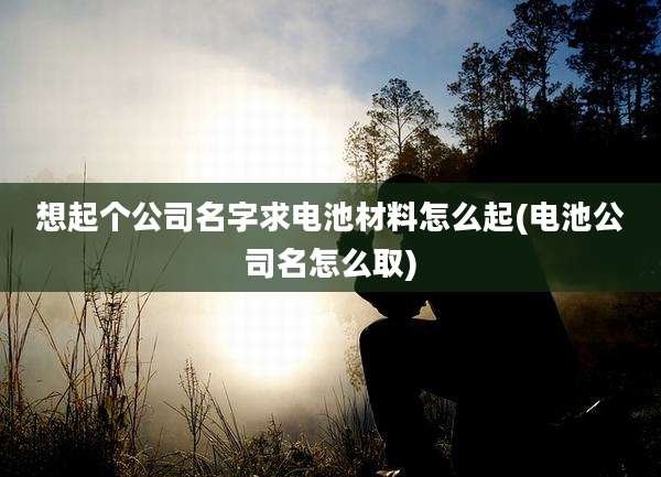 想起个公司名字求电池材料怎么起(电池公司名怎么取)