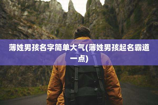 薄姓男孩名字简单大气(薄姓男孩起名霸道一点)